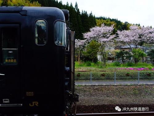 慢行列车,穿越时光的悠闲之旅