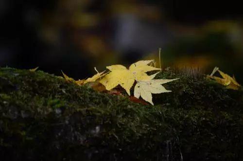 别后才知情深,方知情深意长